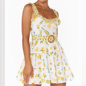 Show Me Your Mumu Jolene Mini Dress